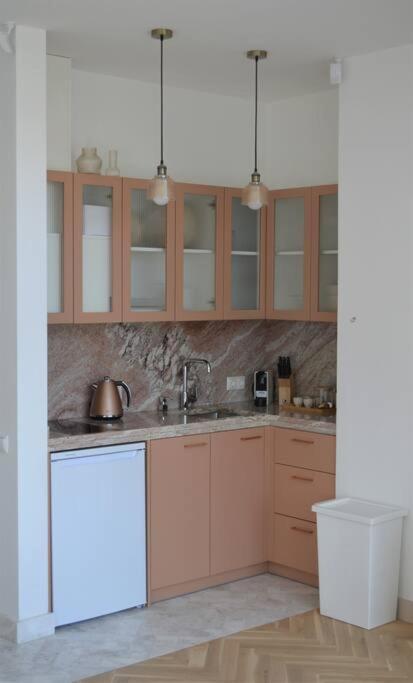 Luxury Apartment With A Balcony And View In Riga Old Town Extérieur photo